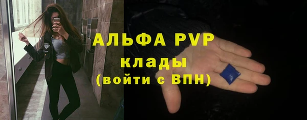 сатива Мегион