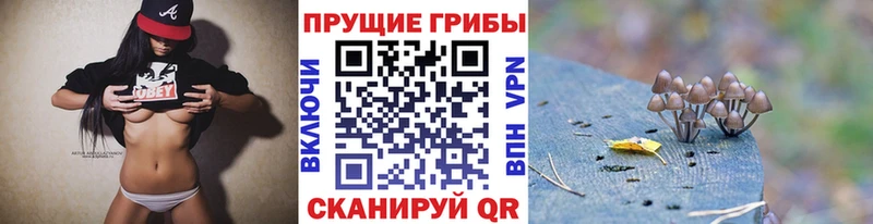 Псилоцибиновые грибы Psilocybe  Чердынь 
